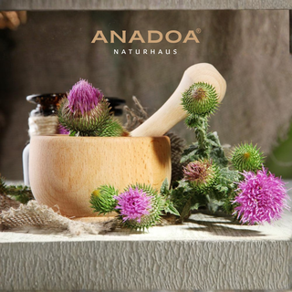 Mariendistel Paste von Anadoa Naturhaus