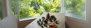 Natur Sirupe & Fruchtsirupe