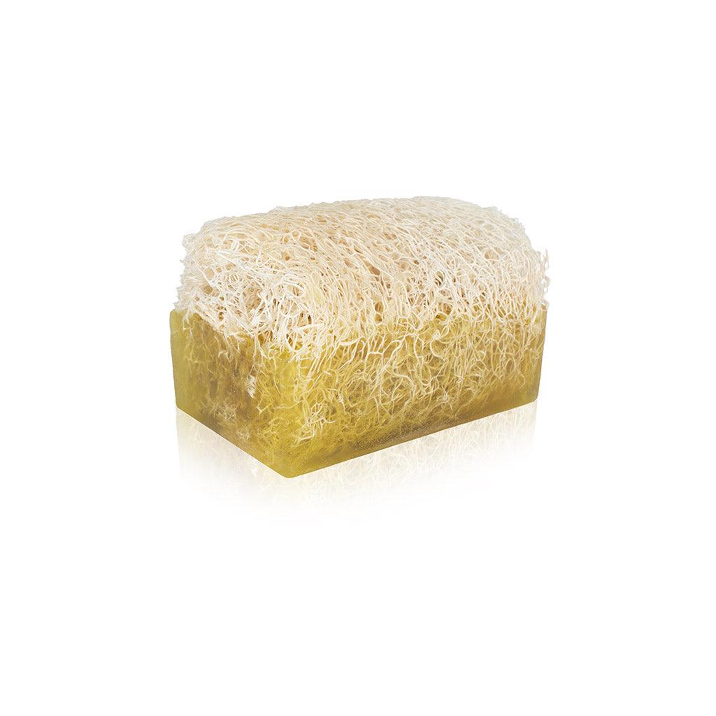 Anadoa Luffa Argan Naturseife - Handmade - Anadoa Naturhaus