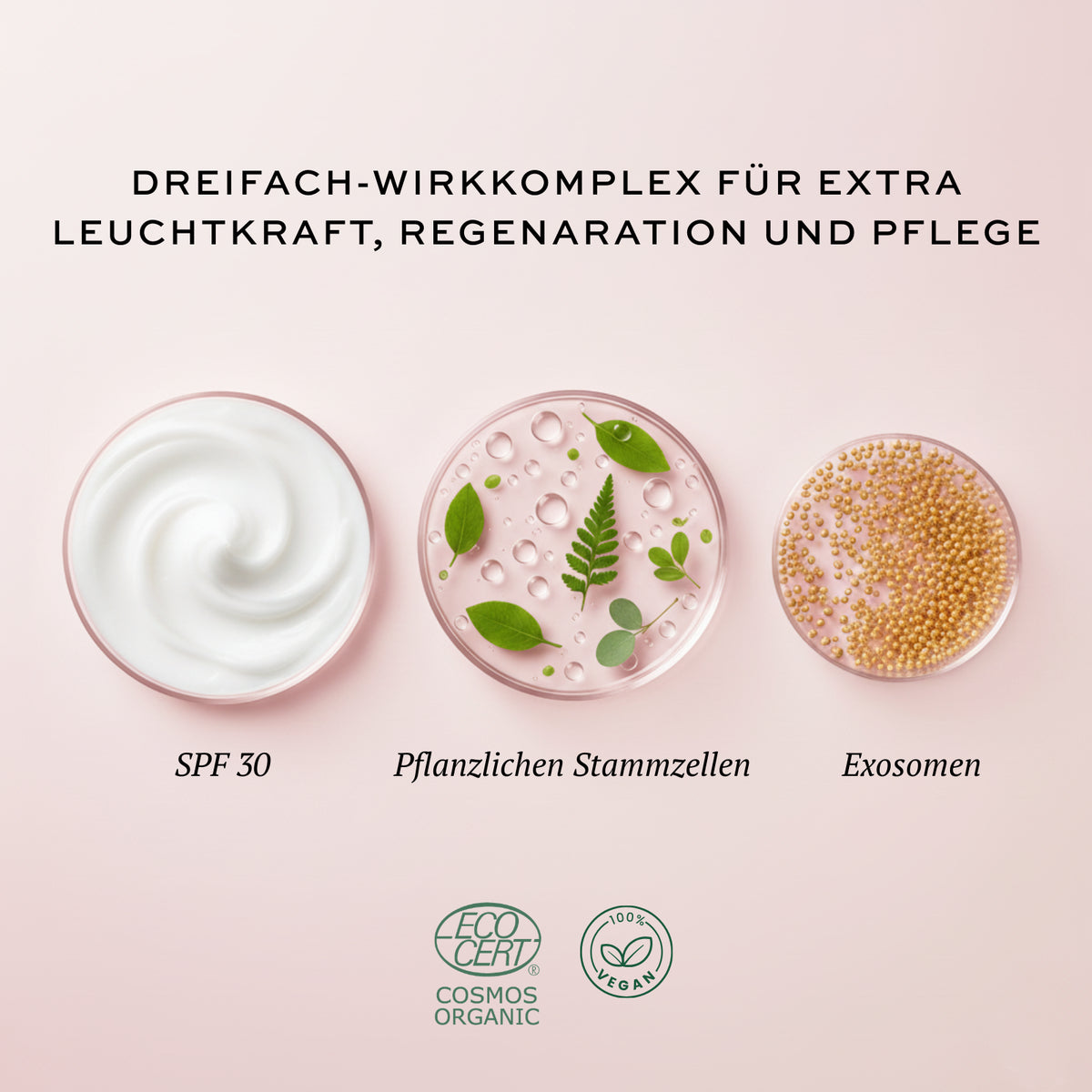 Exosome Day Care SPF 30 | Protection, Care & Radiance in One